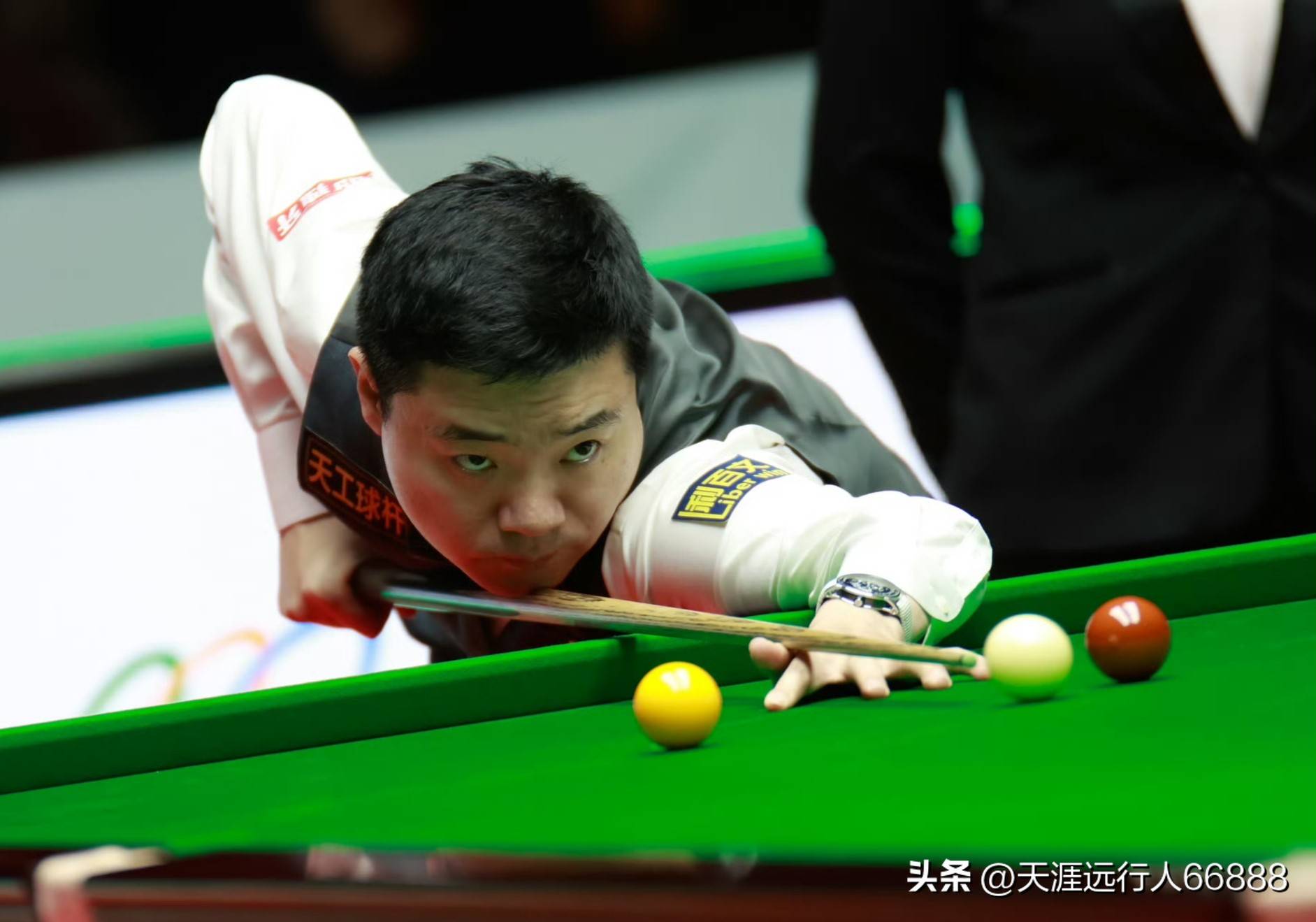 沃夫斯与戈 沃夫斯与戈