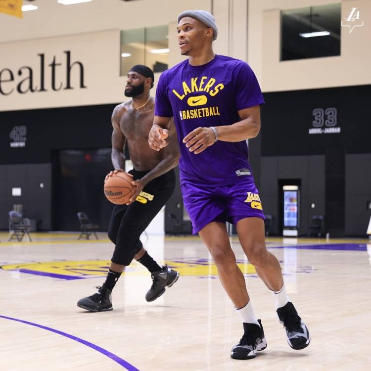 灯光将从 灯光将从